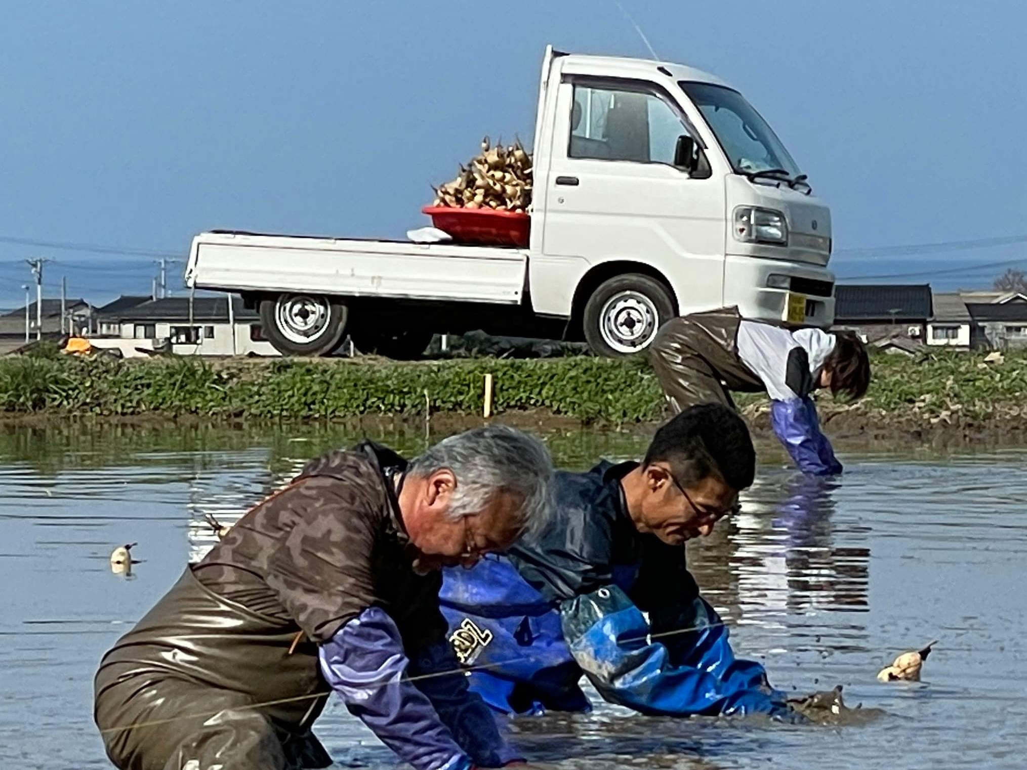 素人　新潟　流出 